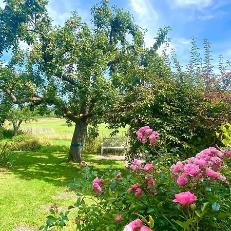 Lieblingsort Susanna