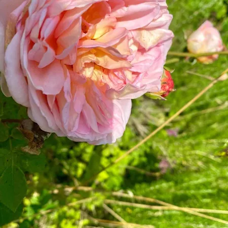 Lieblingsort Susanna *