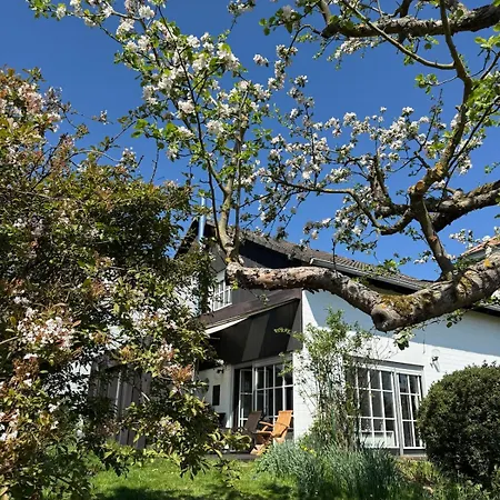 Lieblingsort Susanna * Wenkbach